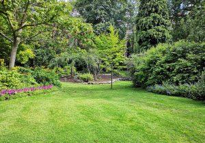 Optimiser l'expérience du jardin à La Pommeraie-sur-Sevre